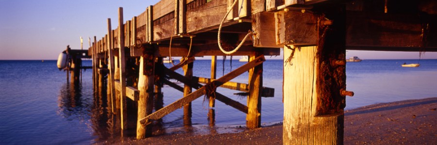 1111-06-05 Under the jetty (Monkey Mia, WA) [pano proof].jpg