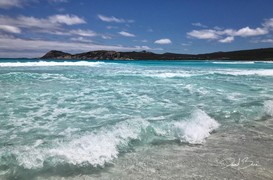 Lucky Bay, Esperance 1 (WA).jpg