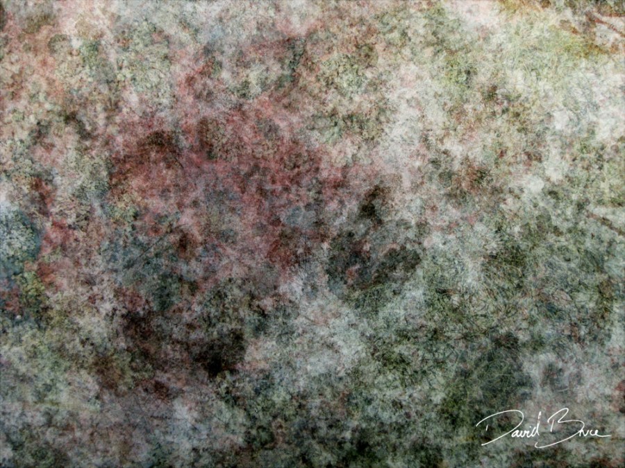 Number 33 - Lichen your old car [proof].jpg