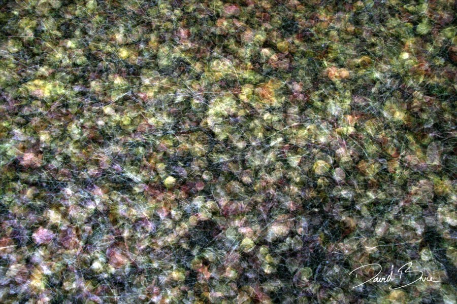 Number 34 [proof].jpg