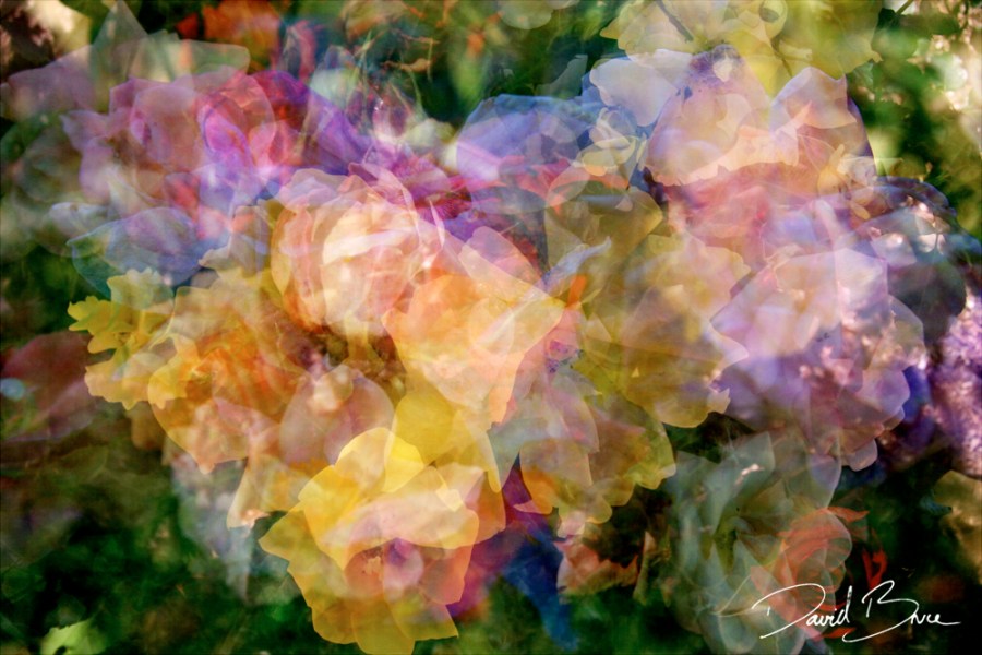 Tapestry 12 [proof].jpg