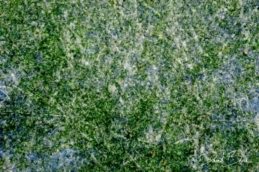 Tapestry 15 [proof].jpg