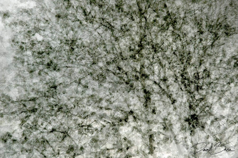 Tapestry 4 [proof].jpg