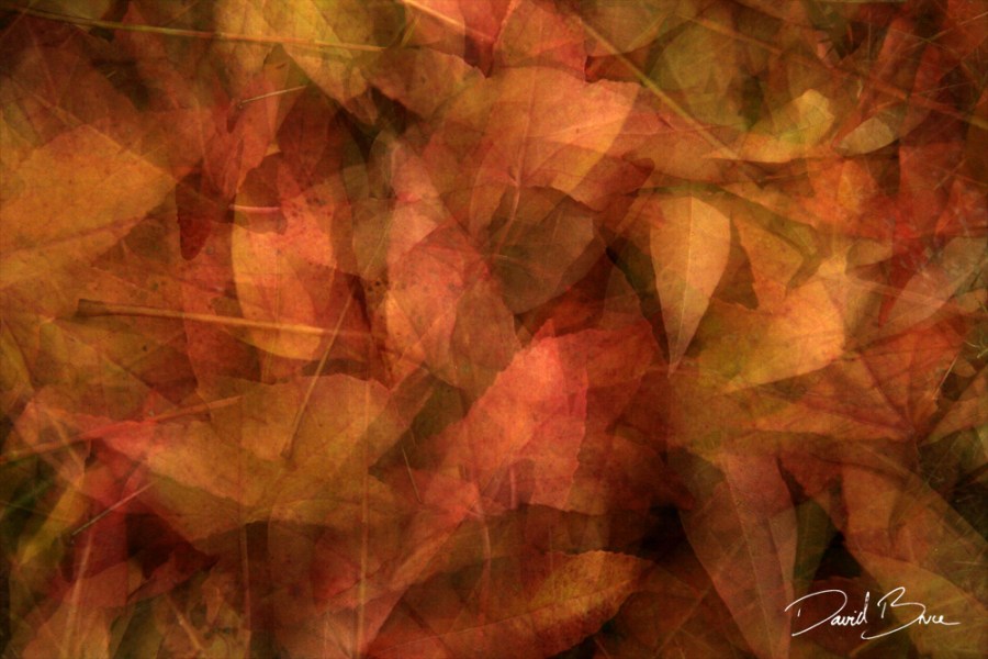 Tapestry 40 - Under the swings [proof].jpg