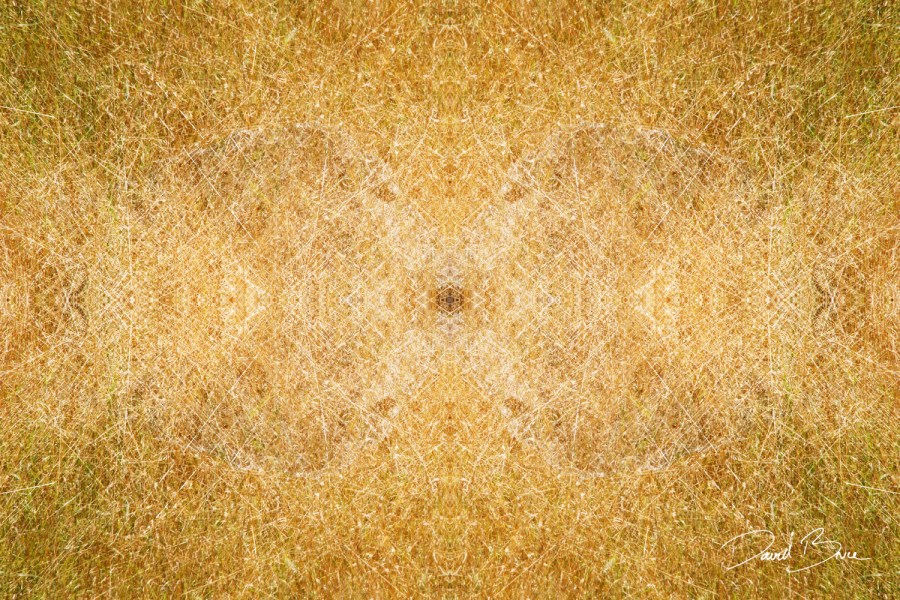 Tapestry 58 - scored [proof].jpg