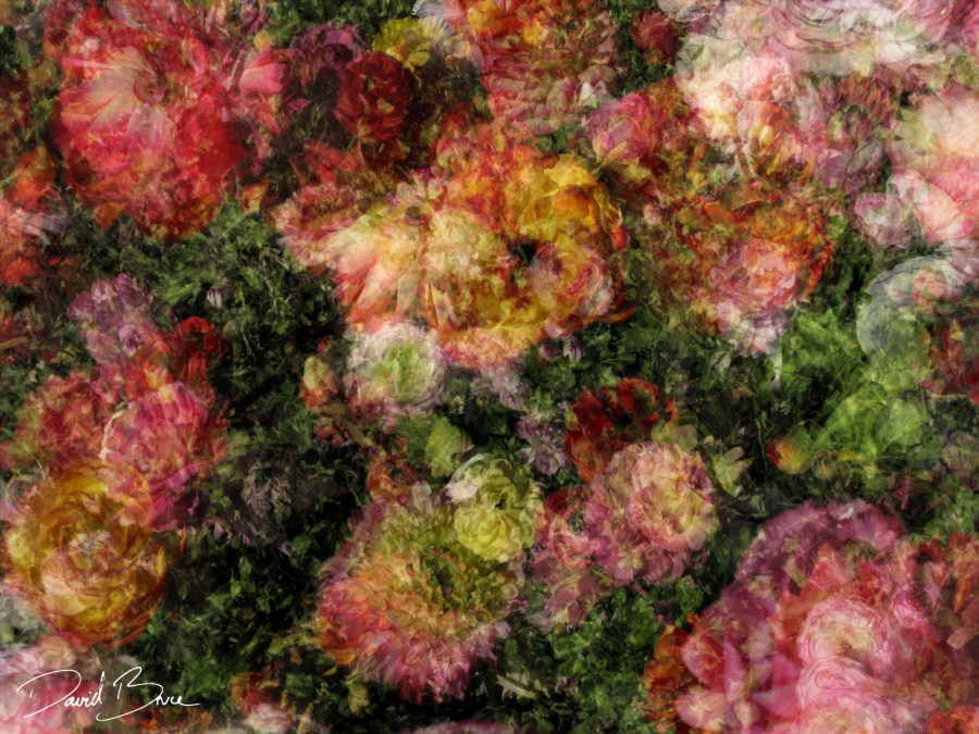 Tapestry 59 - blister in the sun [proof].jpg