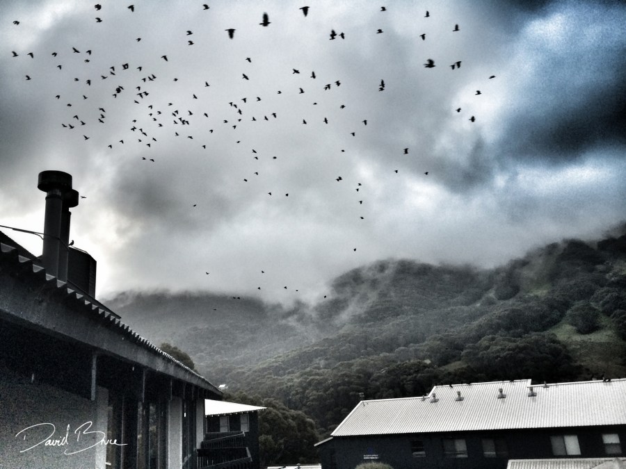 Thredbo (Australia).jpg